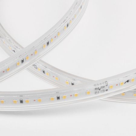 Светодиодная лента Elektrostandard LS014 220V 4690389170935
