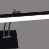 Подсветка для картин Reluce 08823-0.2-01L