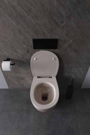 Чаша унитаза подвесная Allen Brau Fantasy 4.11004.IV цвет бежевый без сиденья безободковая каскадный смыв