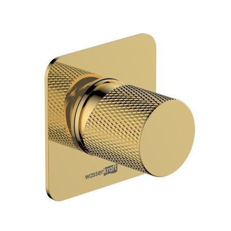 Смеситель для душа Wasserkraft Ems 7600 7651 встраиваемый в стену золото