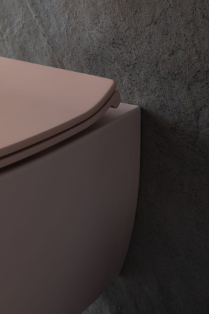 Чаша унитаза подвесная Allen Brau Fantasy 4.11004.SM цвет розовый без сиденья безободковая каскадный смыв