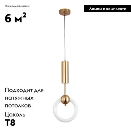 Светильник подвесной Moderli Richard (Рицхард) V5010-PL