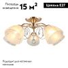 Люстра потолочная Omnilux Caldiero (Цалдиеро) OML-29007-05