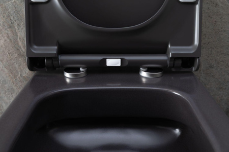 Чаша унитаза подвесная Allen Brau Priority 4.31001.AN цвет черный без сиденья безободковая каскадный смыв