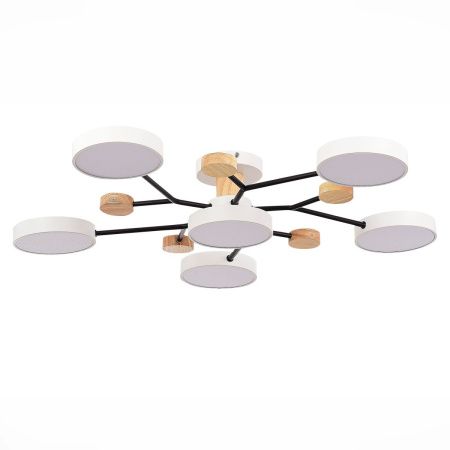 Люстра на штанге Evoluce Faema (Фаема) SLE6006-502-06