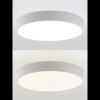 Светильник потолочный Natali Kovaltseva Modern (Модерн) LED LAMPS 81105/2C