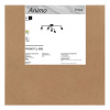 Люстра потолочная Freya Animo (Анимо) FR5507CL-05B