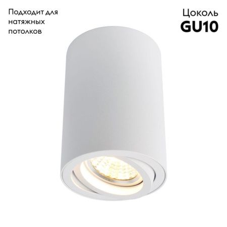 Светильник потолочный Arte Lamp Sentry (Сентры) A1560PL-1WH
