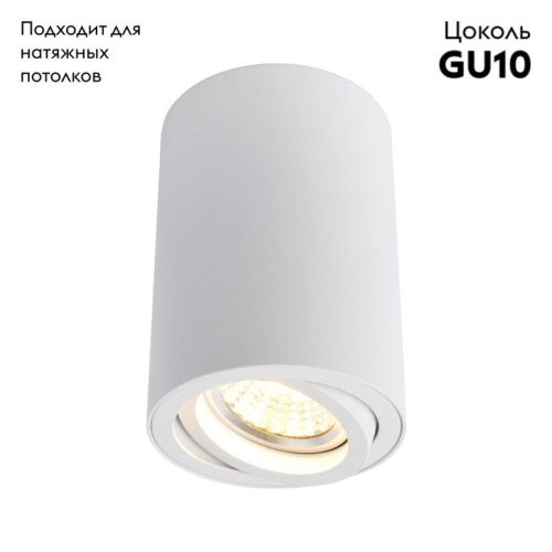 Светильник потолочный Arte Lamp Sentry (Сентры) A1560PL-1WH - фото 2