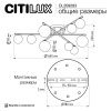 Люстра потолочная Citilux Glob (Глоб) CL209293