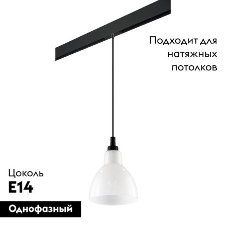 Трековый светильник Lightstar Loft (Лофт) PRO865017