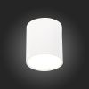 Светильник потолочный ST Luce Rene (Рене) ST113.542.05