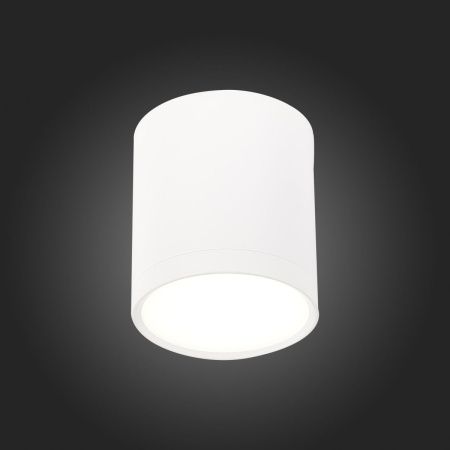 Светильник потолочный ST Luce Rene (Рене) ST113.542.05