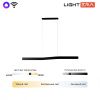 Линейный подвесной светильник Lightera Canzas (Цанзас) LE109L-120B WIFI