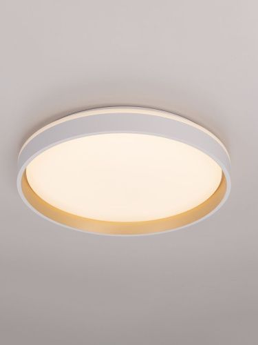 Светильник потолочный музыкальный Citilux Enzo (Ензо) CL753450G - фото 4