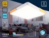 Светильник потолочный Ambrella Light Design (Десигн) FZ1313