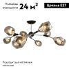 Люстра потолочная IMEX MD.4209 MD.4209-8-S CH+BK