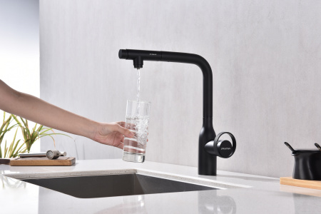 Смеситель для кухни Paulmark URBAN Ur213104-AN на мойку черный